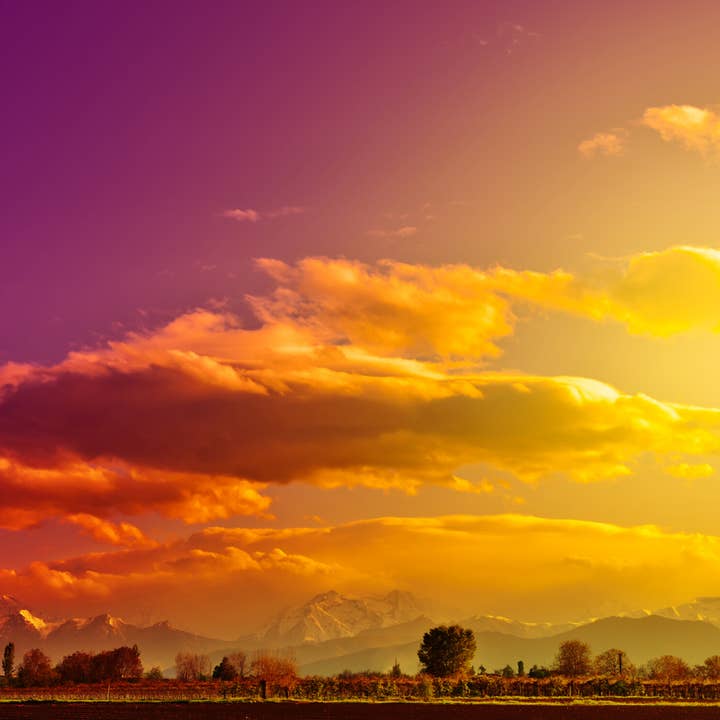 Mélange DiBartolo pour la vente par Due Torri Coffee