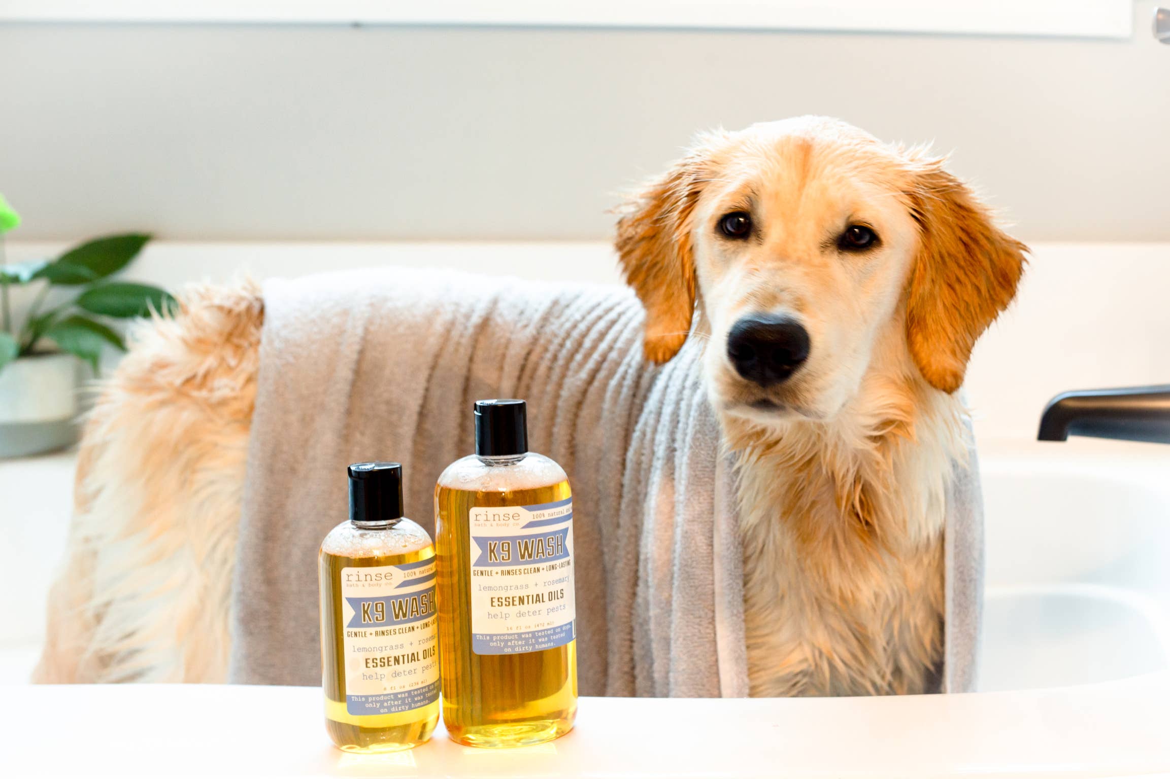 Rinse Bath Body Inc - Wholesale Pet Shampoo - Dog - K9 Wash 16oz | Dog Wash2