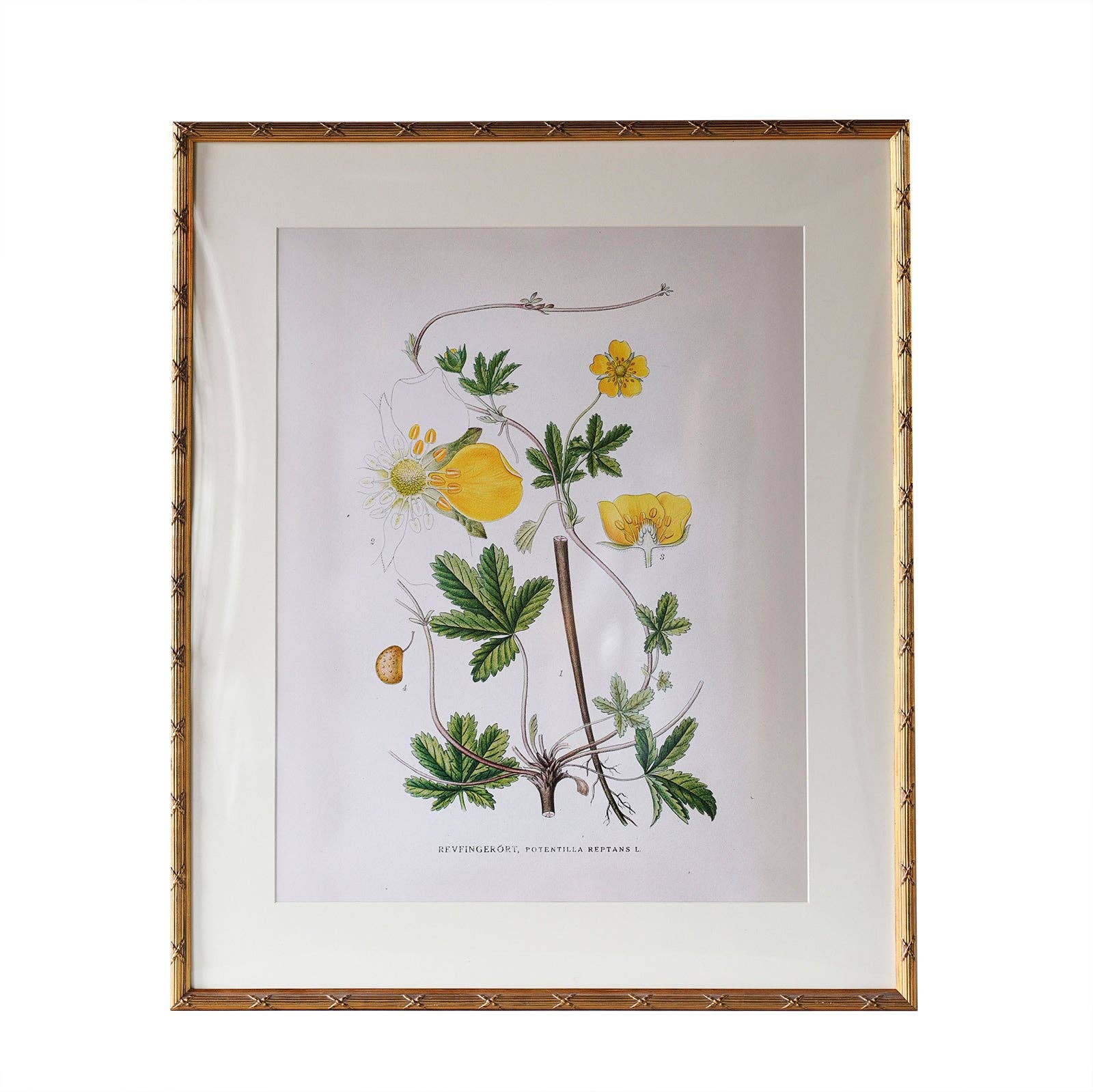 Blue Ocean Traders - Wholesale Picture Frame - Arundel Matted Frame4