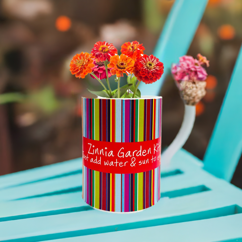 Gifts That Bloom - Wholesale Plant Seeds - Zinnia Garden Grocan Seed Kit2