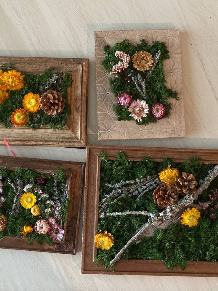 Flora y Fauna / Marco de Musgo Abierto (Mediano) para venta al por mayor de Budding Flowers Art