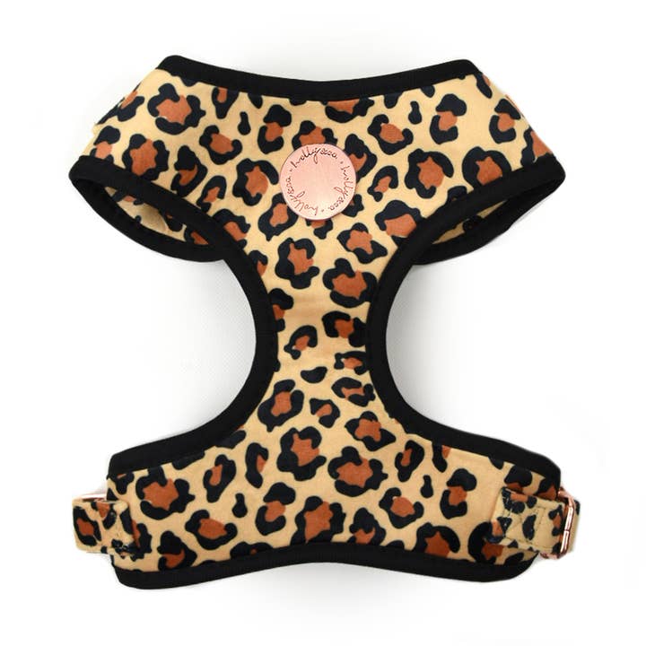 Sammet hund sele//Grundläggande B*TCH Leopard för wholesale av Holly and Co Australia Pty Ltd