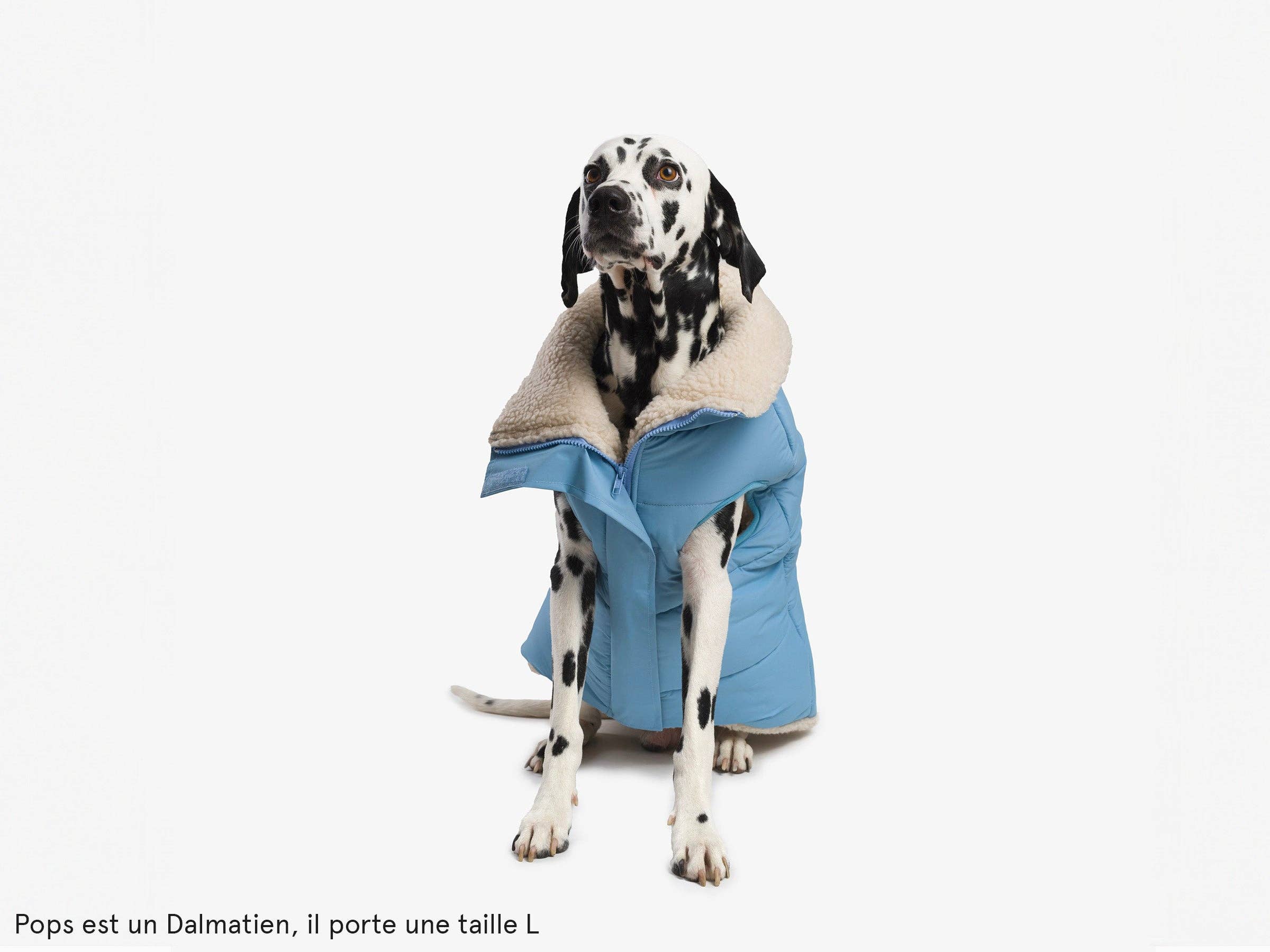 French Bandit - Wholesale Pet Coat - Dog - Thick dog jacket1