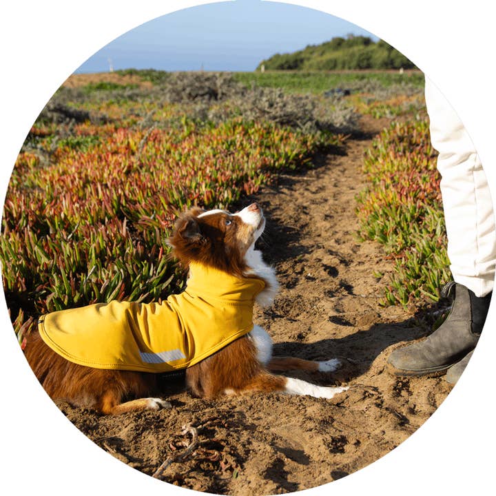 Wildebeest - Wholesale Pet Raincoat - Dog - All Weather Dog Jacket | Waterproof Dog Rain Coat | Fleece6