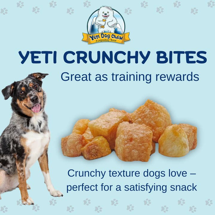 Yeti Dog Chew - Wholesale Pet Treats - Dog - Yeti Chicken Liver Crunchy Bites Himalayan Yak Cheese Dog Tr2