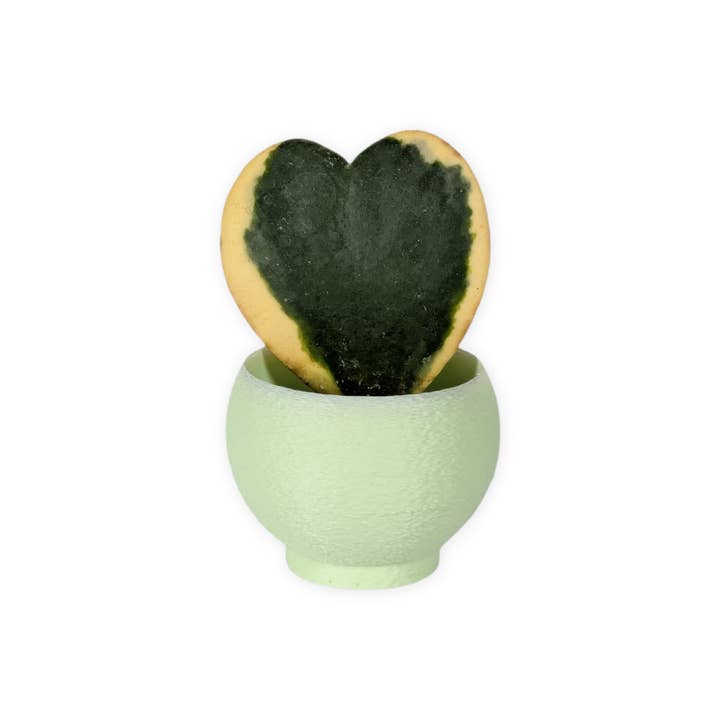 Leafprints.3d - Wholesale Plant Pot - The Petal – 2 Inch Cover Pot (No Drainage)14