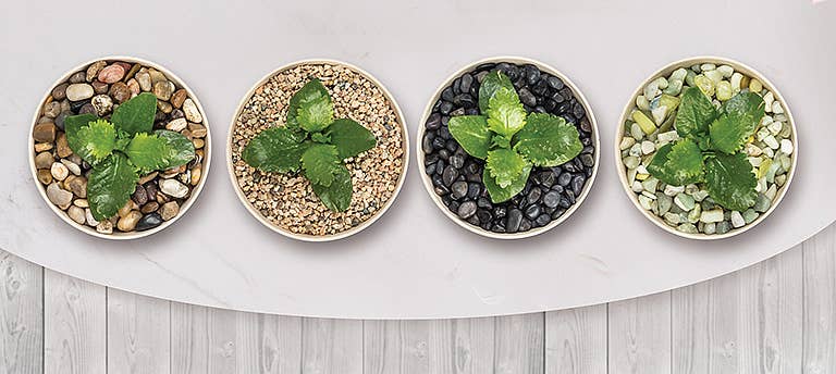 Abbott - Wholesale Tafelbladdecoratie - Desert Stone Zakje - 900 g2