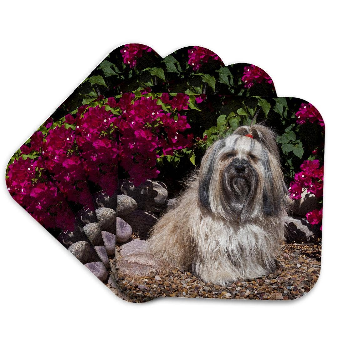 3dRose - Wholesale Coasters - 3dRose, Havanese sitting in front of flowers , Coaster7