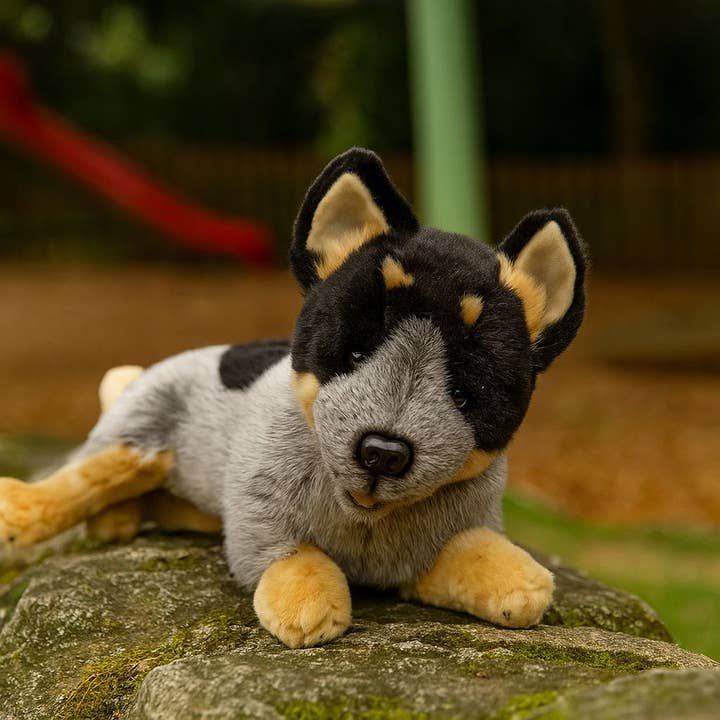 Bocchetta Plush Toys - Wholesale Pet Plush Toy - Dog - Gallagher - Cattle Dog - 35cm lying1