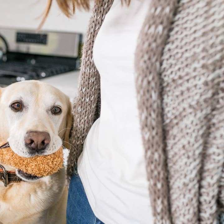 P.L.A.Y. Pet Lifestyle and You – wholesale Pet plush toy – Dog – American Classic Fluffy's Fried Chicken2