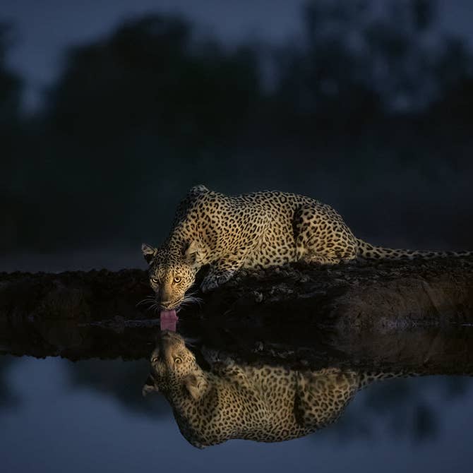 gestalten & teNeues - Wholesale Display Book - Mother3