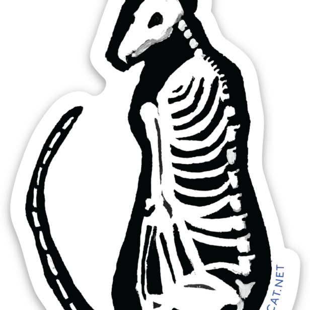 Chat squelette pour la vente par The Flying Cat