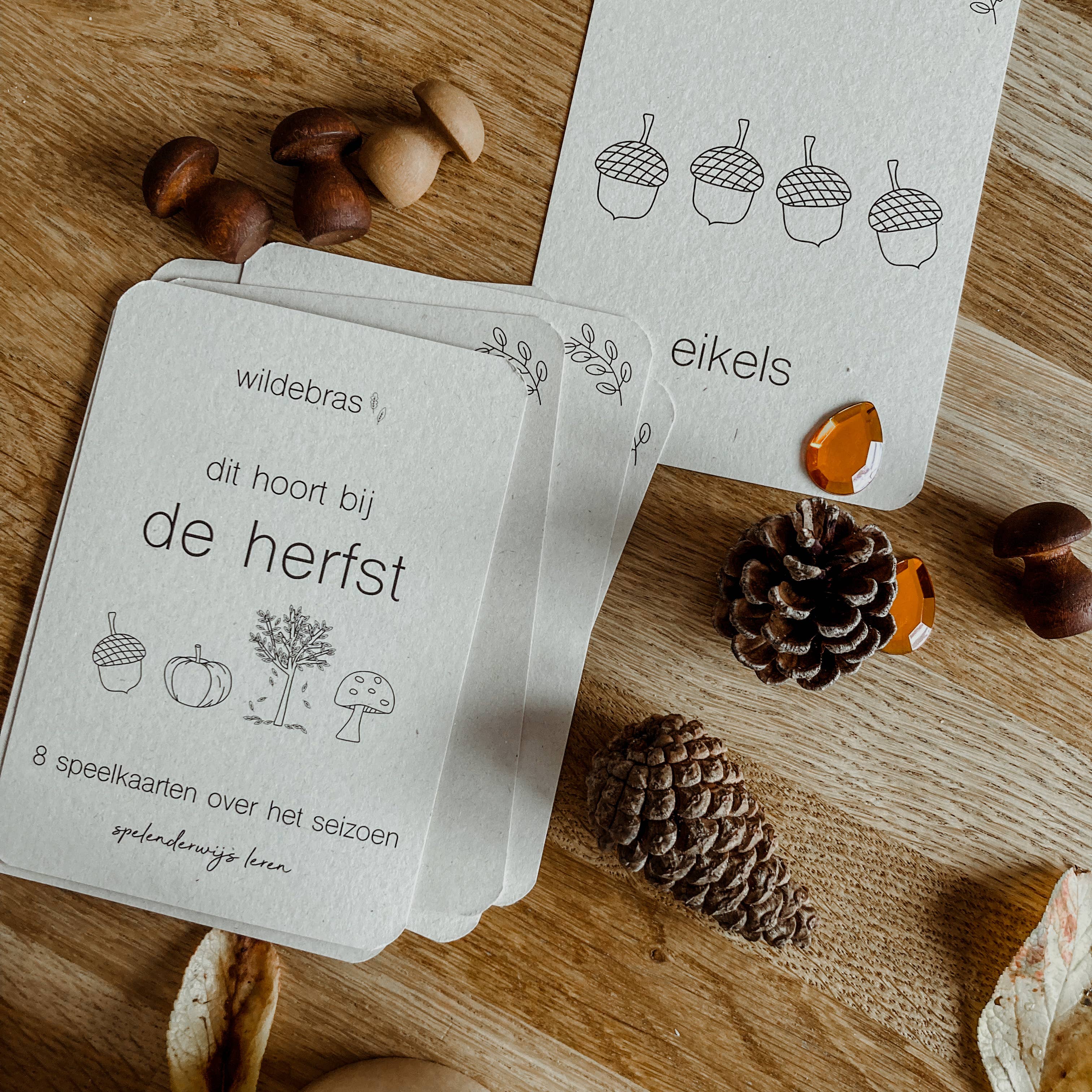 Wildebras - Wholesale Learning Cards - Kids & Baby - Autumn flashcards - learning about the season through play - Montessori6