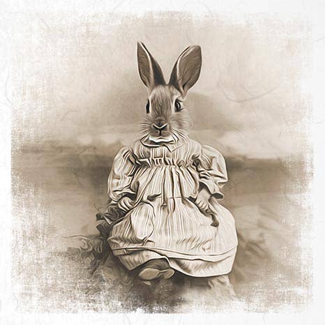 RSM035 papiers de riz avec 6 illustrations différentes 15 x 15 cm pour la vente par ITD Collection