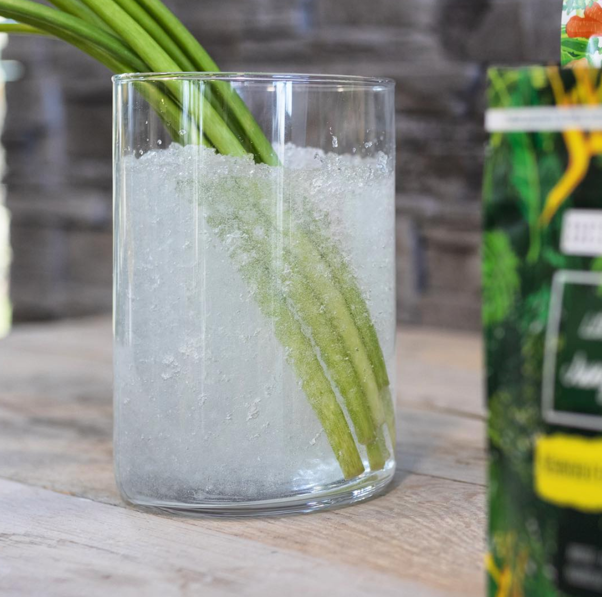 Berger-World - Vente Terreau de plantation/rempotage - Little Jungle 40 grammes - réservoir d'eau solide2