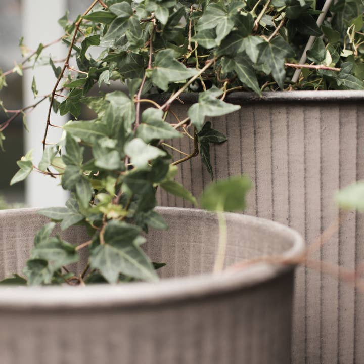 ENSEMBLE DE 3 OUT STRIPE - beige pour la vente par DBKD