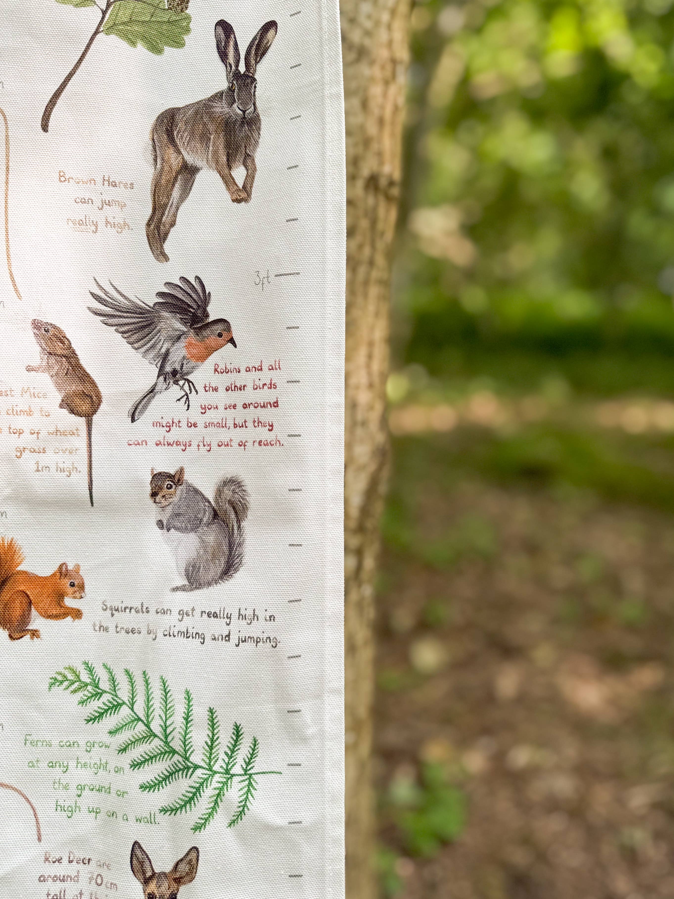 This Thursday - Wholesale Growth Chart - Kids & Baby - Woodland Life Fabric Height Chart2