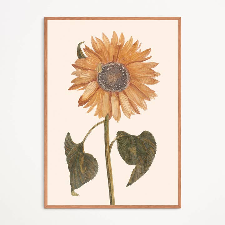Poster: Sunflower voor wholesale door Aster Edition