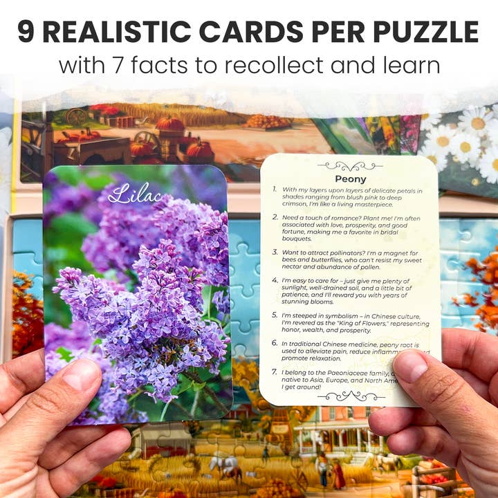 QUOKKA - Wholesale Puzzle - Adult - Dementia Puzzles for Elderly with cards | 3xSET