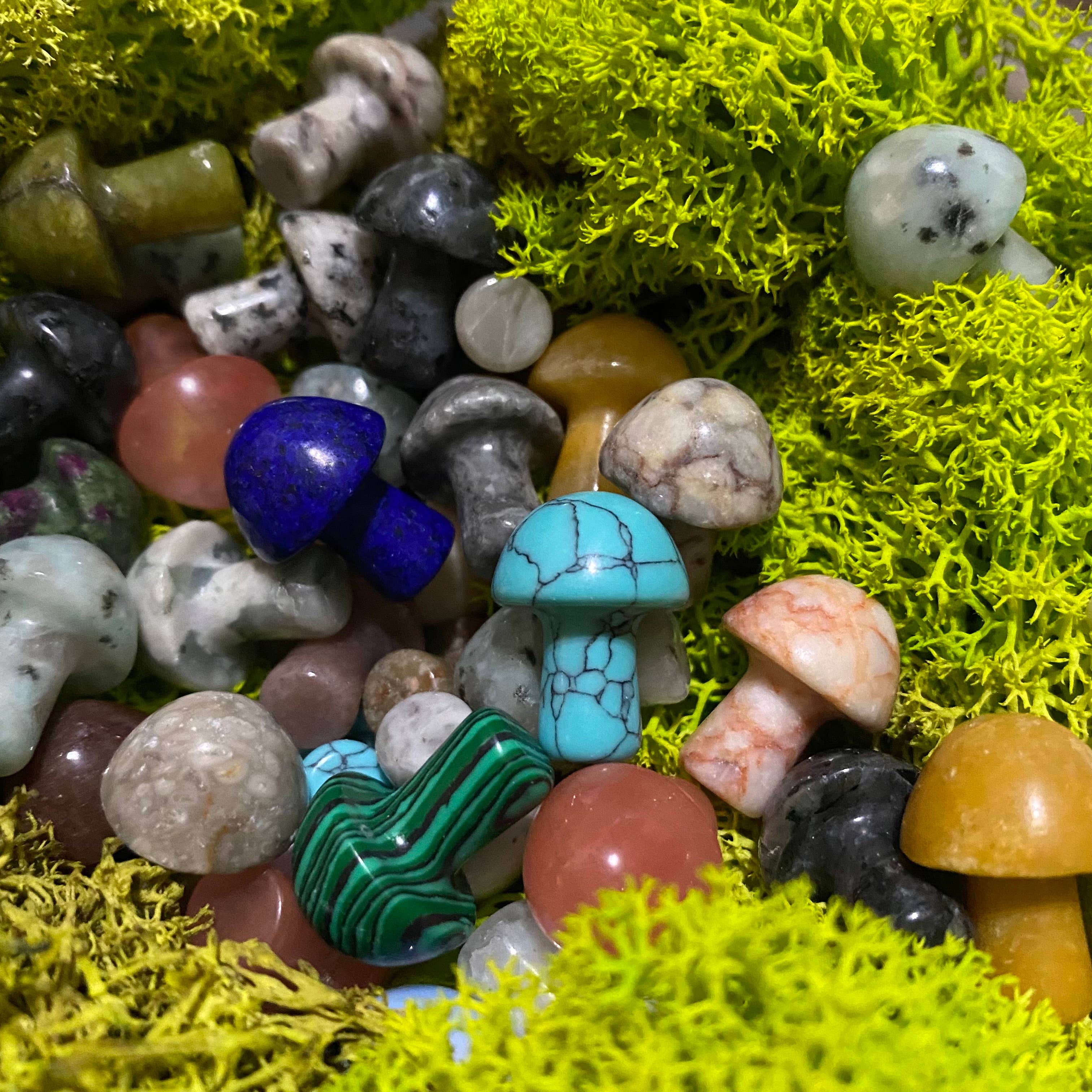 Wax Apothecary - Wholesale Spiritual Stone/Crystal - 🍄 Crystal Mini Mushroom Stone Assortment 🍄5