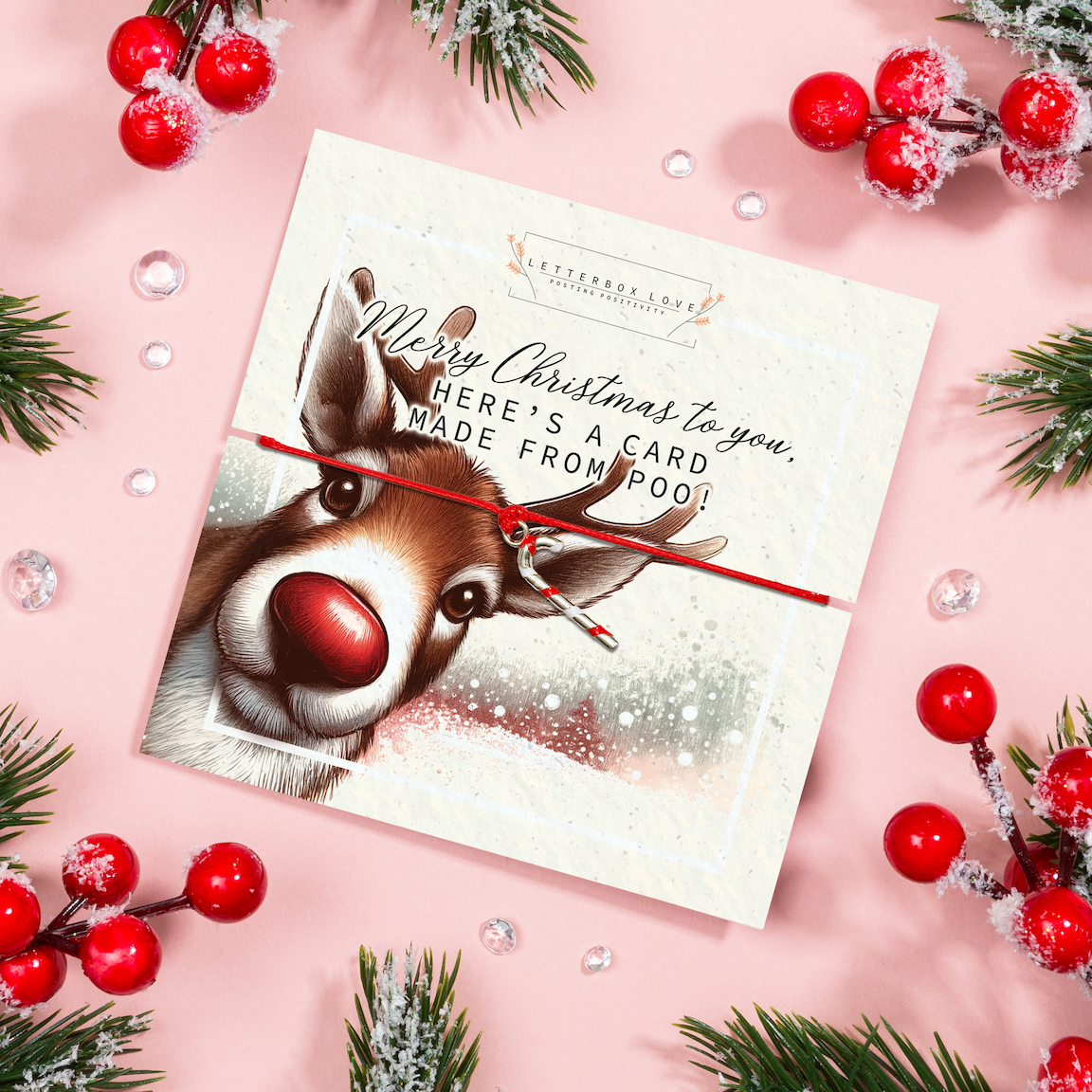 Letterbox Love Bracelets – wholesale Charm/dangle bracelet – Reindeer Poo Christmas Card with Candy Cane Bracelet 1