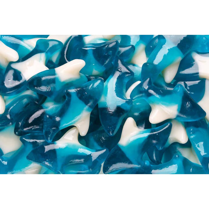 Albanese Blue Gummi Sharks, 5lb Bag for wholesale by Grandpa Joe's Candy Shop