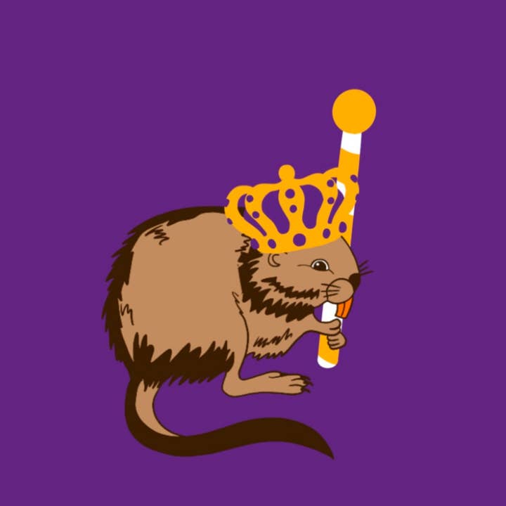 Polo Lizzyd-esigns Pique Classic Polo with Embroidered Mardi for wholesale by WHEREable Art, LLC