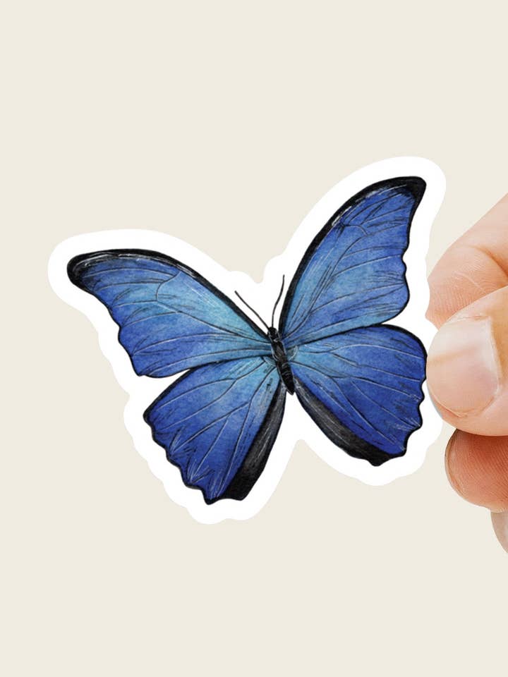 Blauwe Morpho vlindersticker voor wholesale door Tara Feather Designs