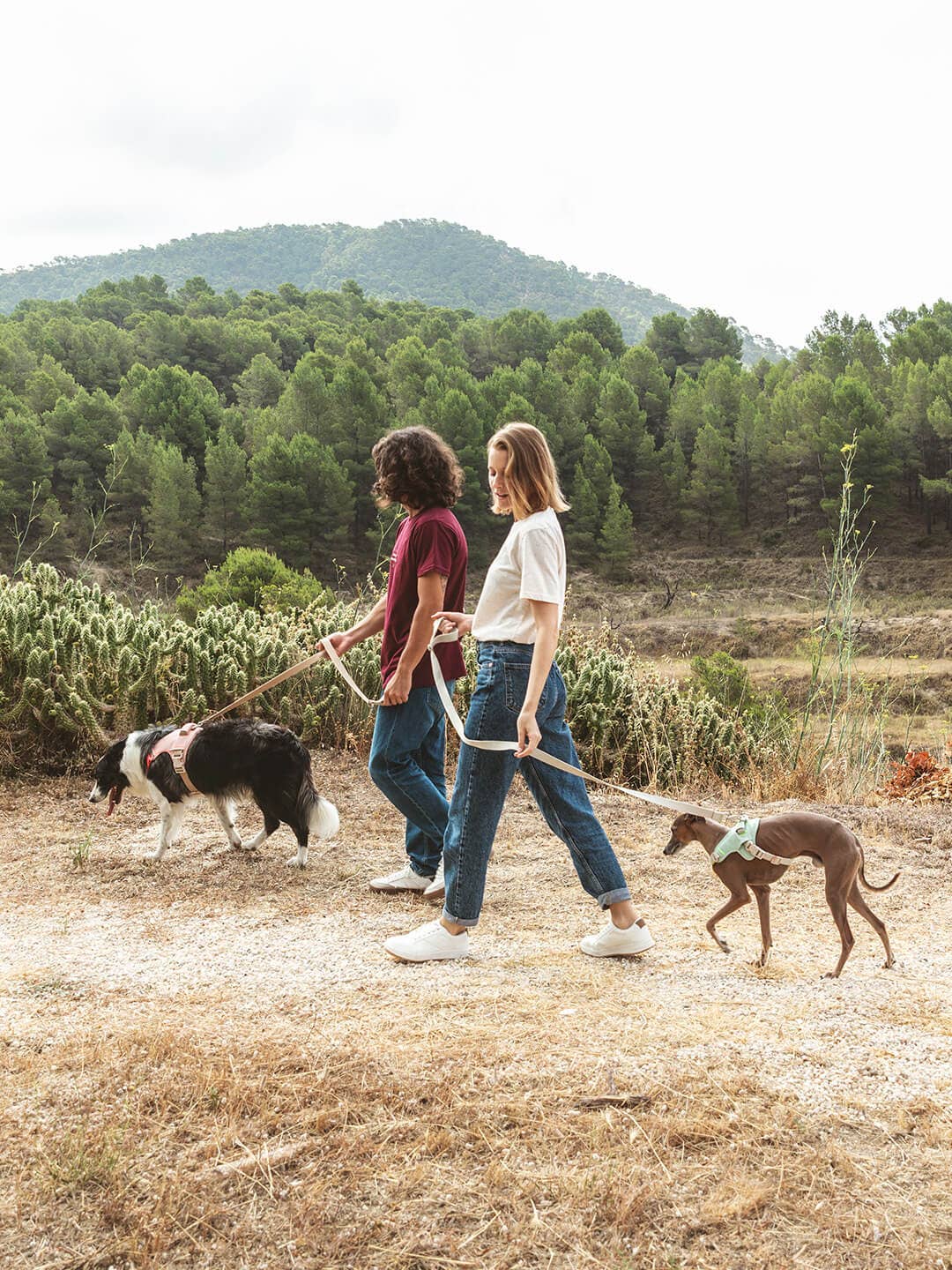 Qisu - Wholesale Pet Harness - Dog - Dog harness | Hug Harness17