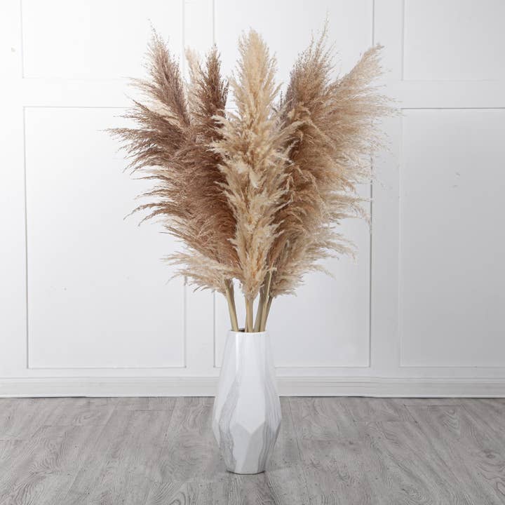 Mollie Sophia Ltd - Wholesale Dried/Pressed Flowers - Large Pampas Grass Dried Flowers Fluffy Pampas Collection