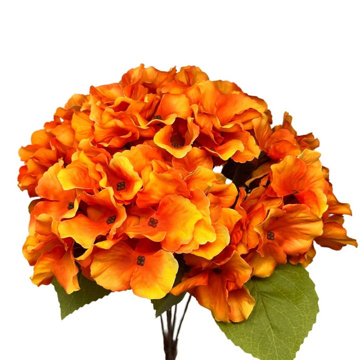 Autumn Meadows Hydrangea Bush x 5 -Orange 18” for wholesale by David Christopher's Collection
