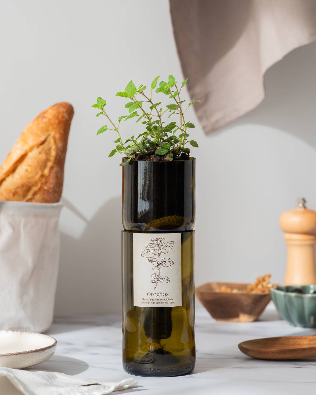 Life in a bag - Wholesale Plant Seeds - Grow Bottle Oregano1