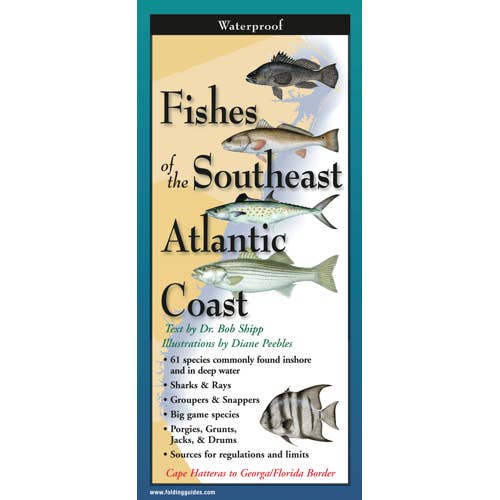 Fishes of the Southeast Atlantic Coast FoldingGuide for wholesale by Earth Sky + Water