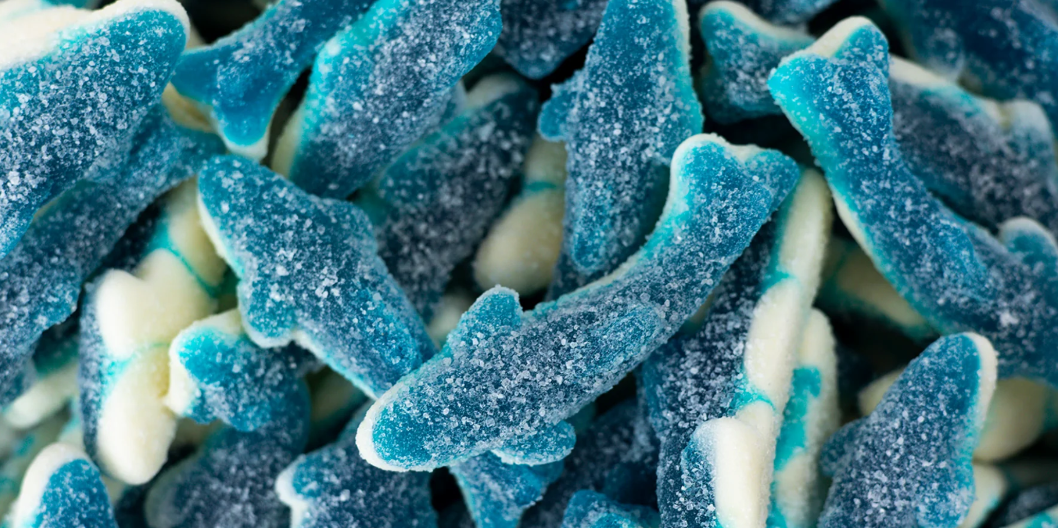 Sweetish- Swedish Candy Wholesale - Wholesale Gummy - Sour Swedish Blue Sharks 2.2lbs0
