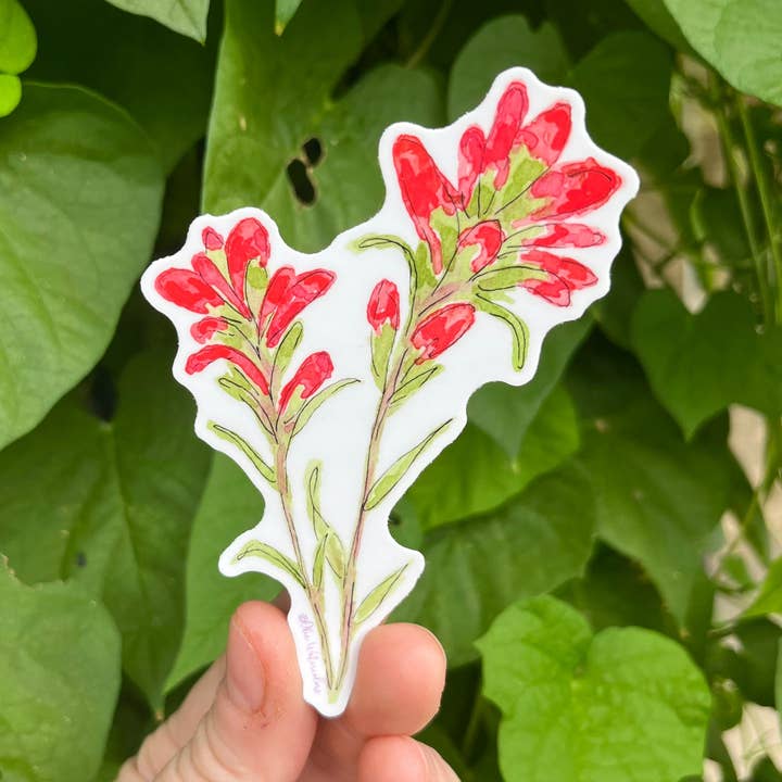 Indian Paintbrush Flower Watercolor 4" Vinyl Sticker, Weatherproof Watercolor Art, Indoor/Outdoor, Oklahoma Wild, Native Oklahoman for wholesale by Okie Watercolors