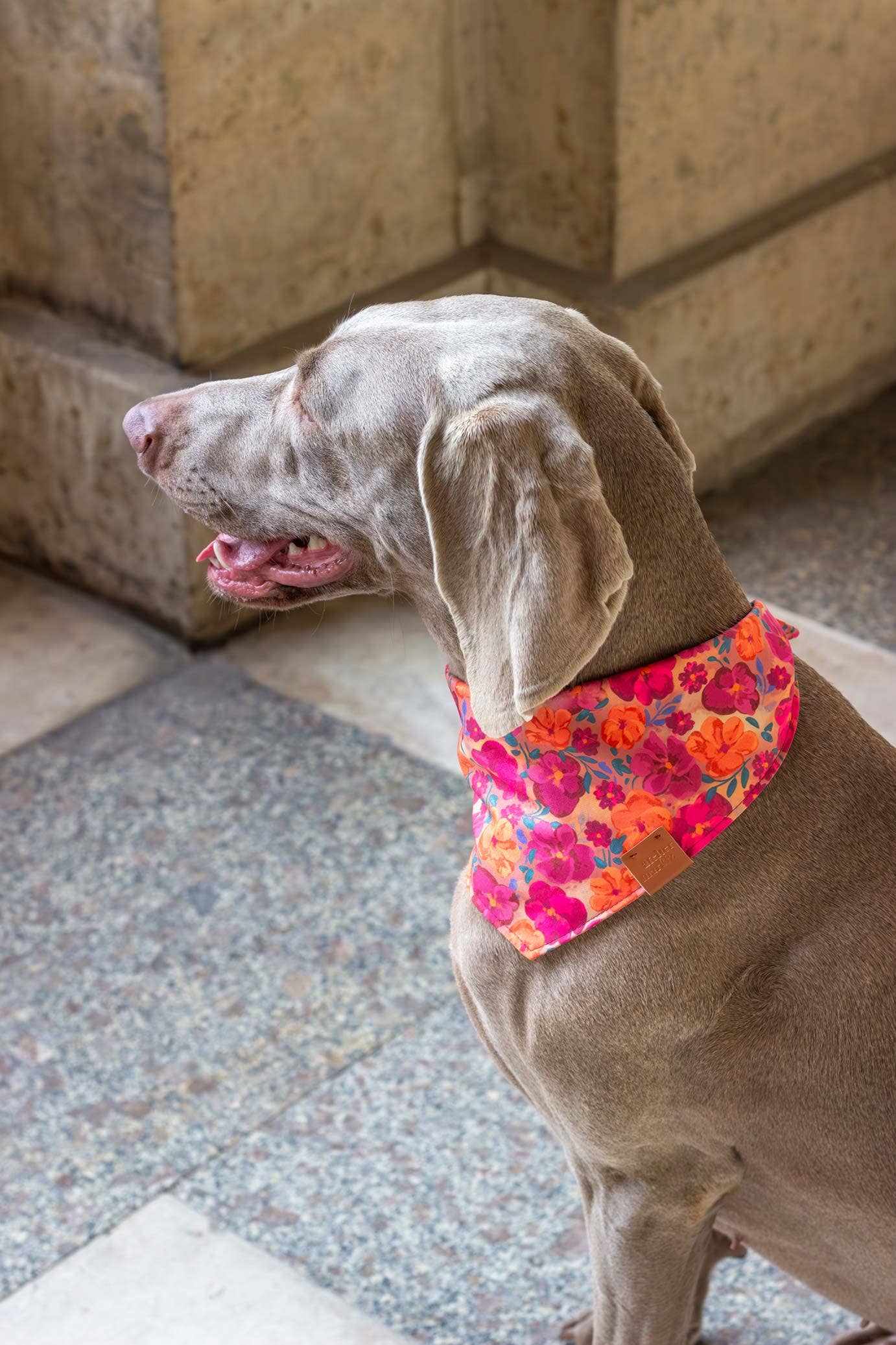 Atelier Markiz - Wholesale Pet Bandana - Dog - Bellagio bandana5
