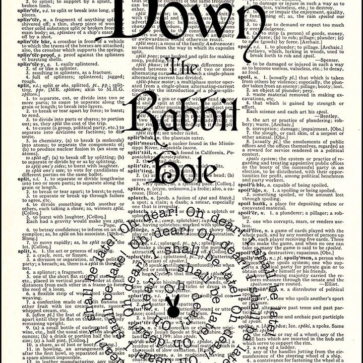 Down The Rabbit Hole Quote Dictionary Print for wholesale by Fresh Prints of CT