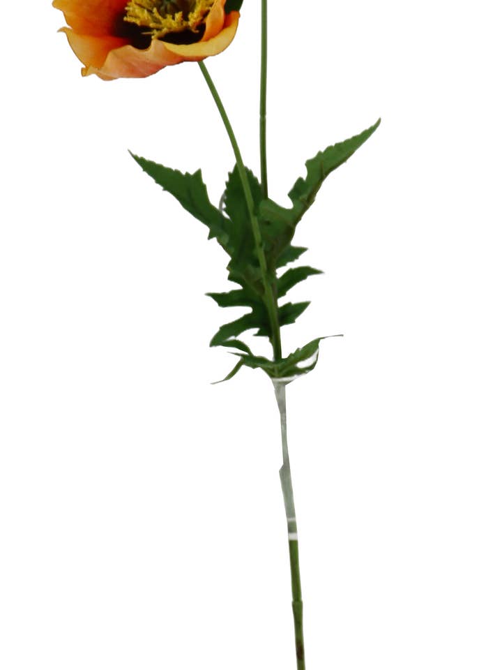 POPPY SPRAY X2 W/4 LVS, 26", ORANGE for wholesale by Select Artificials, Inc.