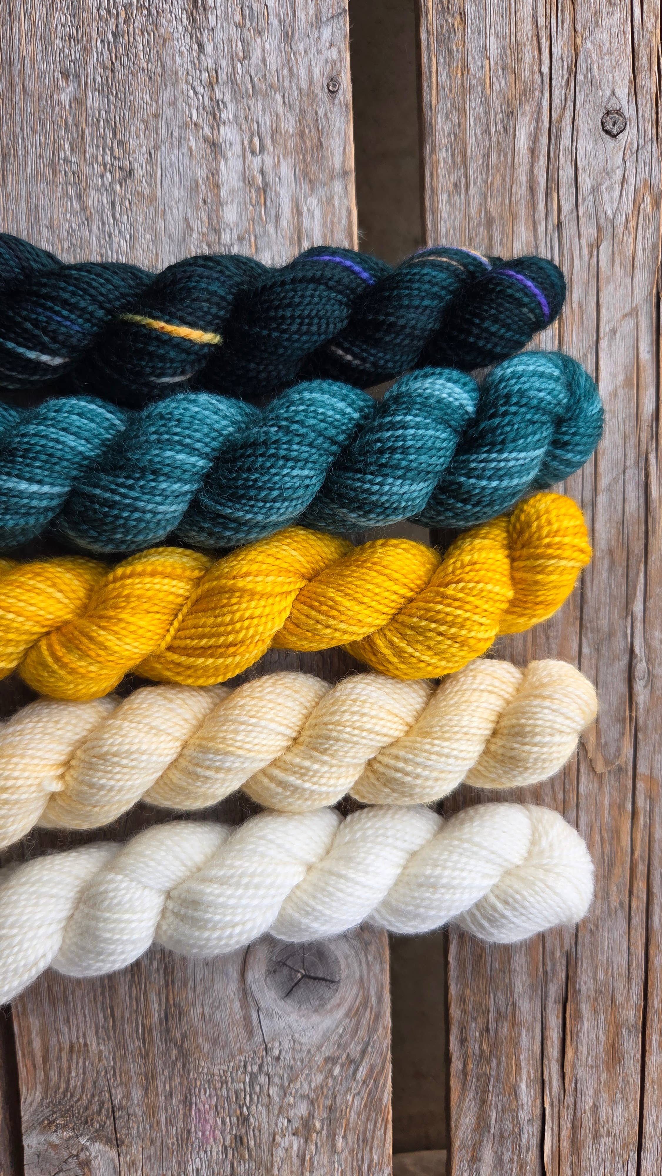 Koigu Wool Designs - Vente Fils à tricoter - Boîtes de Peinture de Fleurs Provinciales (ensembles de mini-écheveaux)42