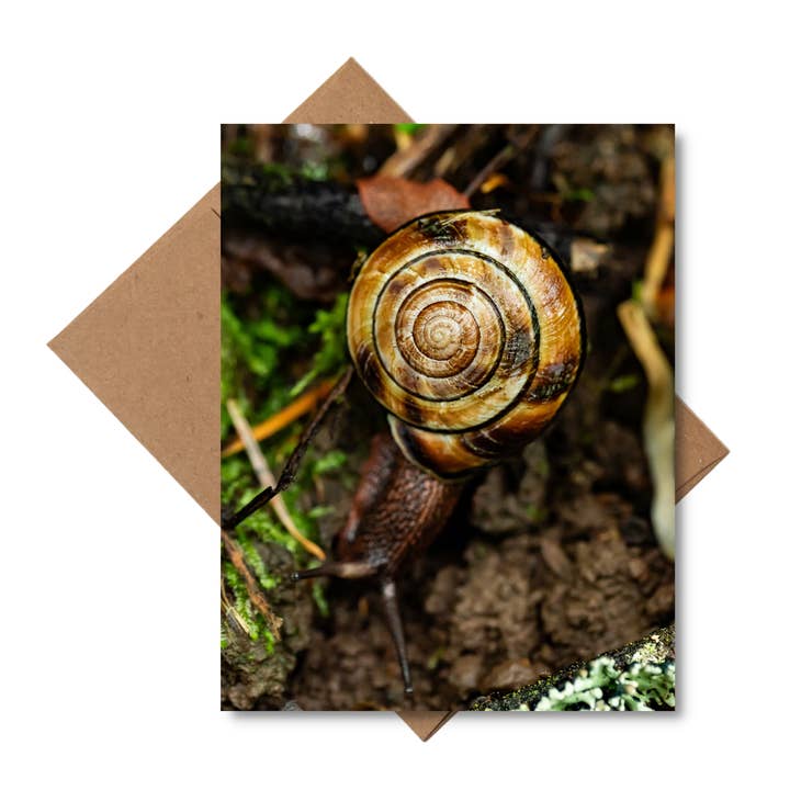 "Maze" Nature Photo Greeting Card for wholesale by Andrea Morris Art