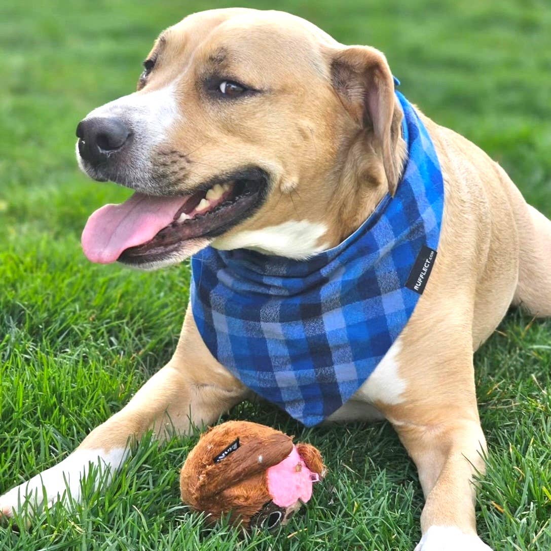 RUFFLECT Dog Bandanas - Vendita all'ingrosso Bandana - Cani - Bandana per cani Glacier Plaid Flannel RUFFLECT®7
