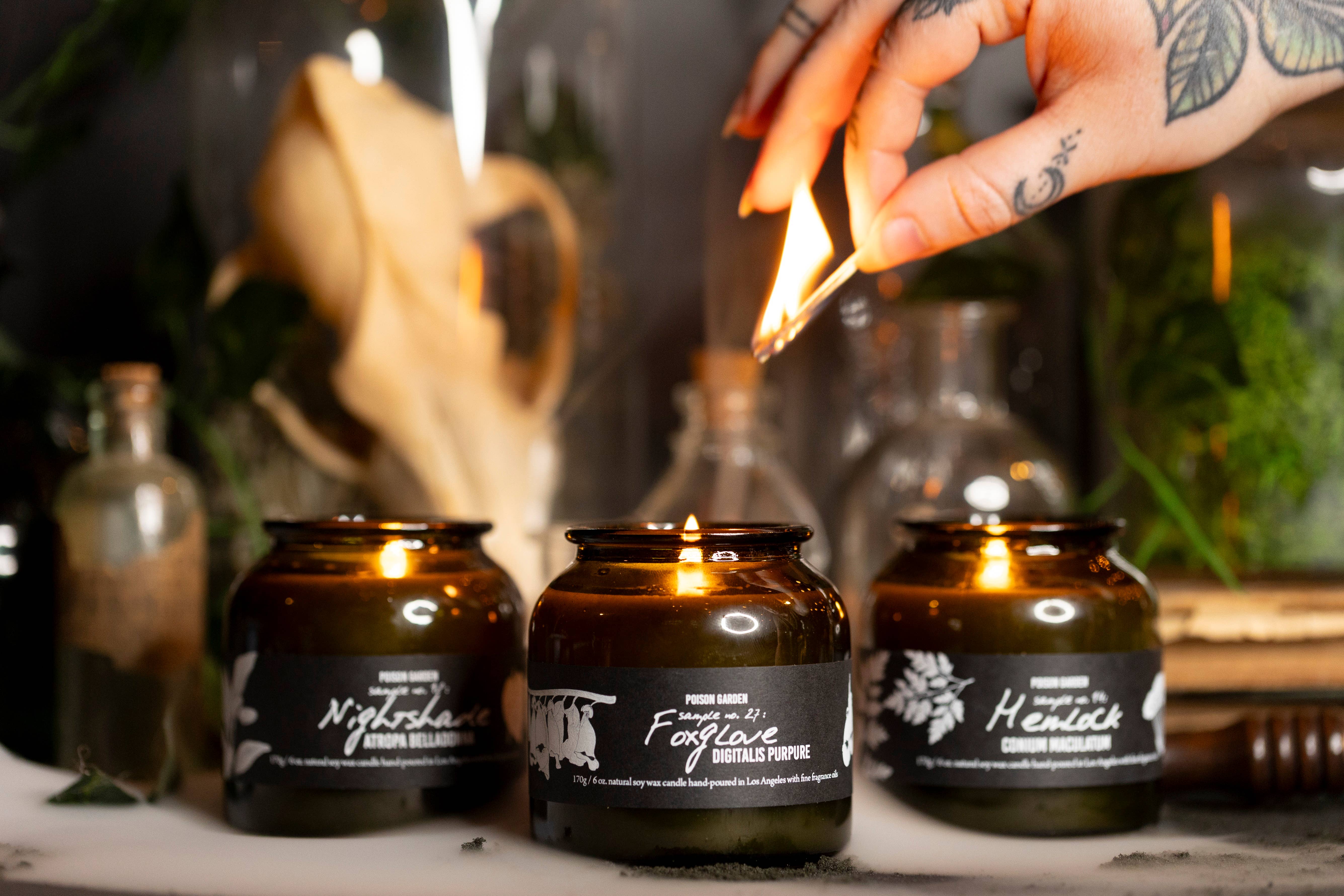 Cantrip Candles - Wholesale Jar/Filled Candle - The Botany Crate (Bulk 6oz candle rate)2