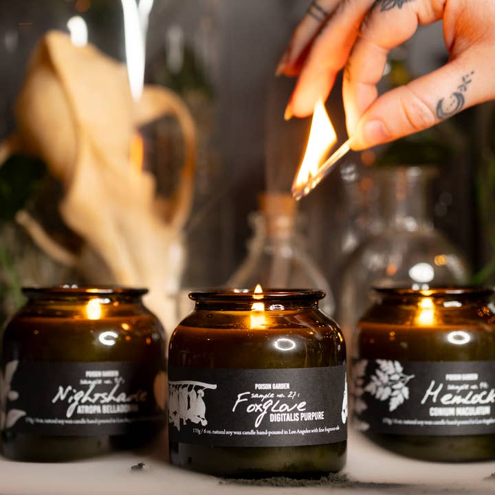 Cantrip Candles - Wholesale Jar/Filled Candle - The Botany Crate (Bulk 6oz candle rate)2