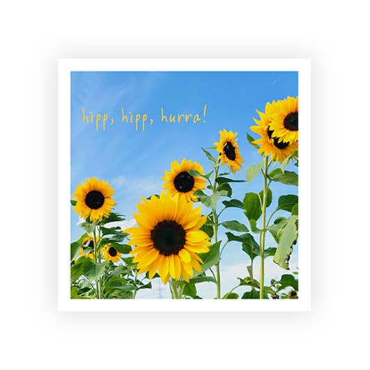 Hip Hip Hooray | Postcard | Greeting for wholesale by Hey!Cards GmbH & Co. KG