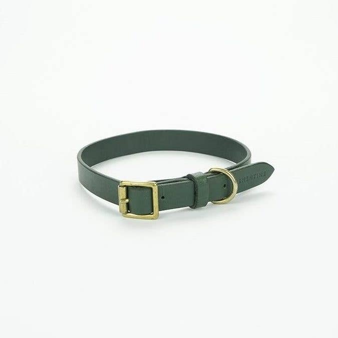 Beaton Platte kraag - Groen, Klein voor wholesale door Clementine est dogs