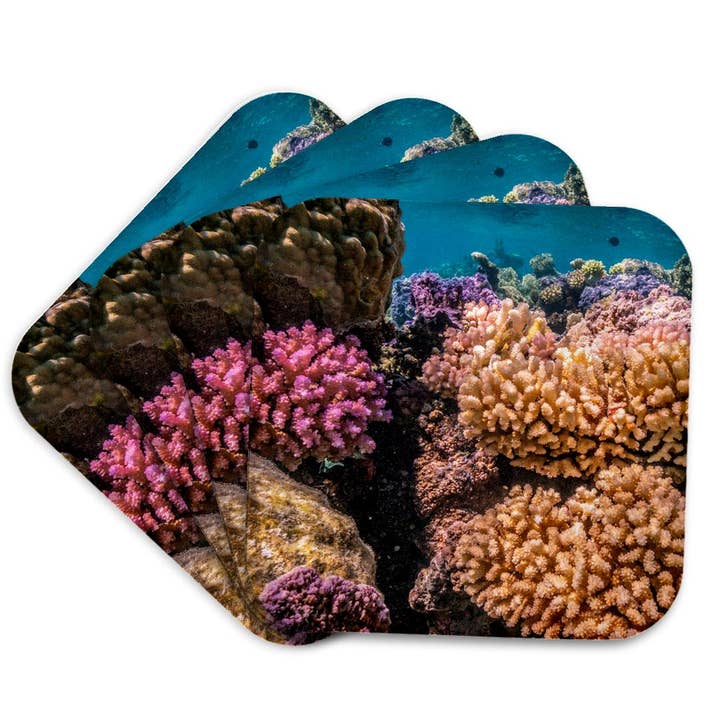 3dRose - Wholesale Coasters - 3dRose, French Polynesia, Bora Bora. Closeup coral garden., Coaster7