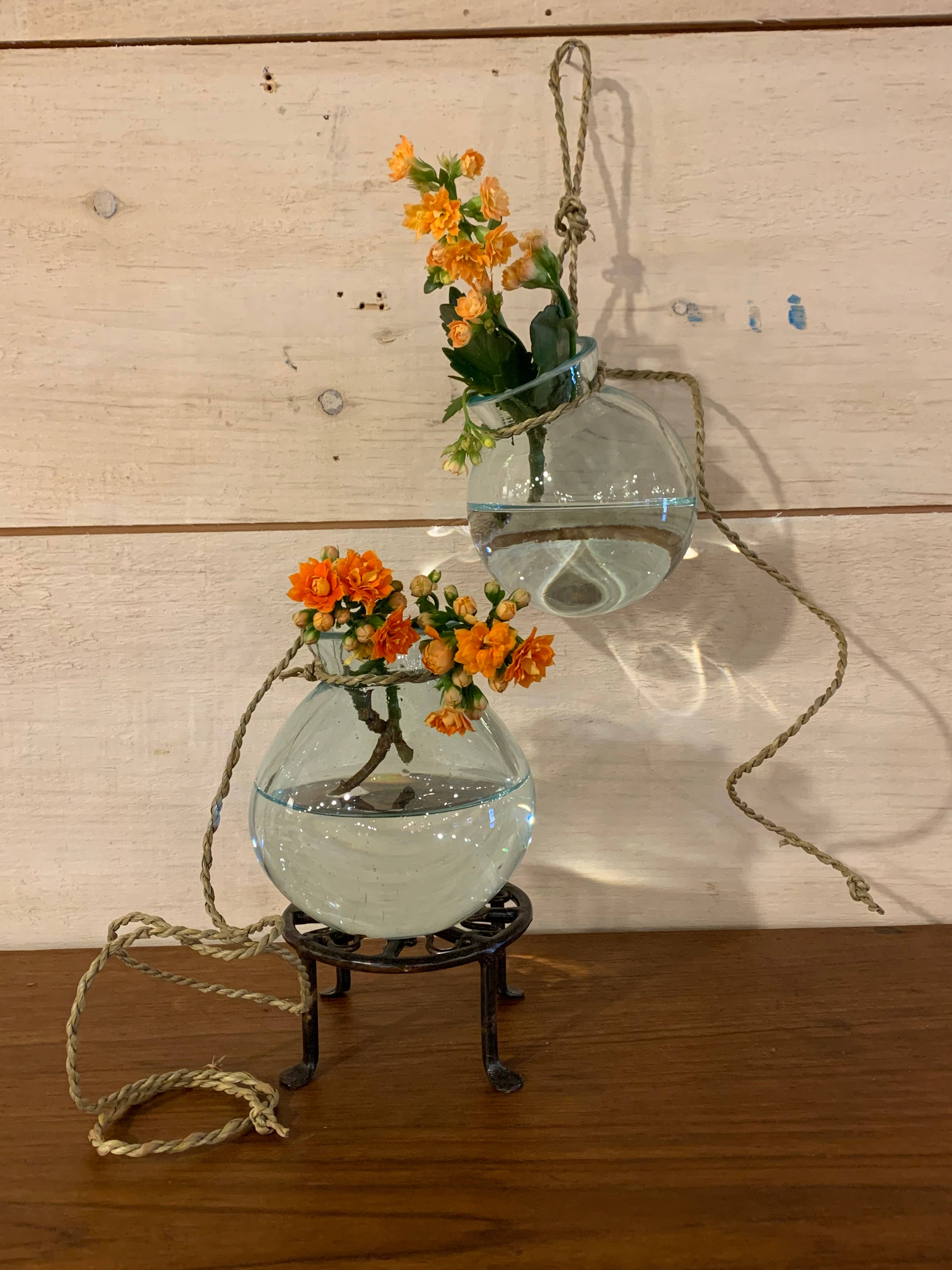 Asia West - Wholesale Hanging Planter - Glass Vase/Round Pot -Hanging with Natural Twine (4/4/4")3