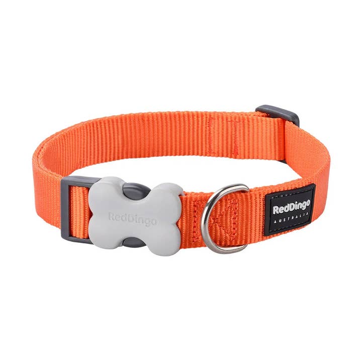 Red Dingo Dog Collar Classic Orange for wholesale by Sherwood Paws