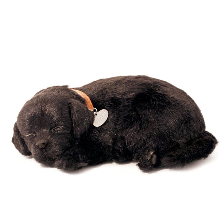 88Unlimited/Perfect Petzzz - Wholesale Stuffed/Plush Toy - Kids & Baby - 10Original - Black Lab