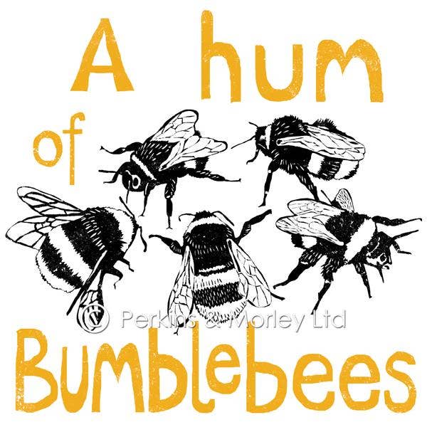Perkins & Morley – wholesale Everyday greeting card – hum of bumblebees card0